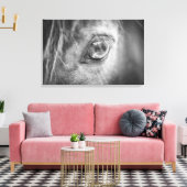 Mooie Horse Eye zwart en wit Canvas Afdruk (Insitu (Woonkamer))