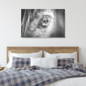 Mooie Horse Eye zwart en wit Canvas Afdruk (Insitu (Slaapkamer))