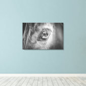 Mooie Horse Eye zwart en wit Canvas Afdruk (Insitu (Houten vloer))