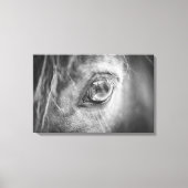 Mooie Horse Eye zwart en wit Canvas Afdruk (Voorkant)