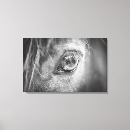 Mooie Horse Eye zwart en wit Canvas Afdruk (Voorkant)