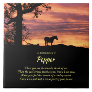 Mooie Horse Memorial met Spiritueel gedicht Ceram Tegeltje
