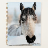 Mooie Horse Planner (Voorkant)