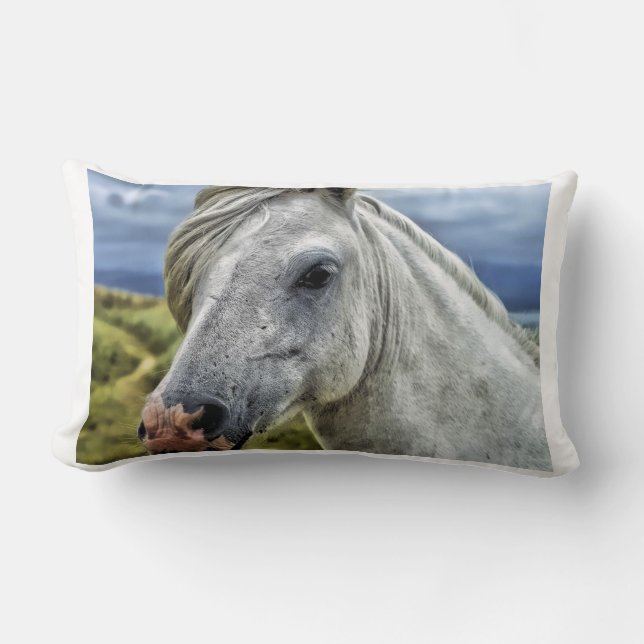 Mooie Horse Ranch Destiny Natuur Kussen (Voorkant)