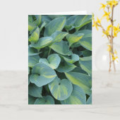 Mooie hosta plant wenskaart kaart (Gele Bloem)