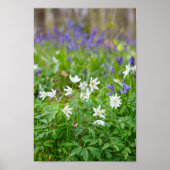 Mooie houten anemone-bloemen poster (Voorkant)