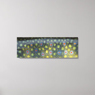 Mooie huid, Jordan River Brookie" Canvas Afdruk