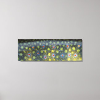 Mooie huid, Jordan River Brookie" Canvas Afdruk