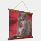 Mooie huiskat ontspannen tegen een rode achtergron hangend wandkleed (Gebogen)