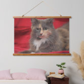 Mooie huiskat ontspannen tegen een rode achtergron hangend wandkleed (Slaapkamer)