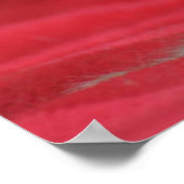 Mooie huiskat ontspannen tegen een rode achtergron poster (Hoek)