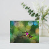 Mooie Hummingbird Briefkaart (Staand voorkant)