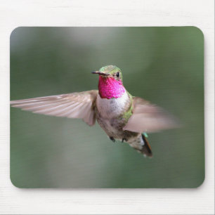 Mooie Hummingbird in Flight Muismat