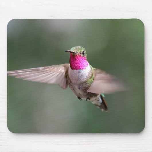 Mooie Hummingbird in Flight Muismat (Voorkant)