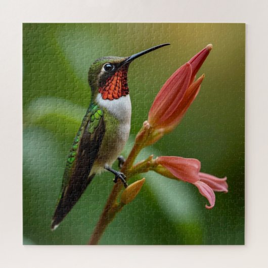 Mooie Hummingbird Legpuzzel (Horizontaal)