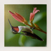 Mooie Hummingbird Legpuzzel (Verticaal)