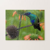 Mooie Hummingbird Legpuzzel (Horizontaal)