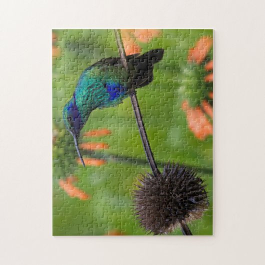 Mooie Hummingbird Legpuzzel (Verticaal)