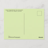 Mooie Hummingbird vliegt naar een ventilator Briefkaart (Achterkant)