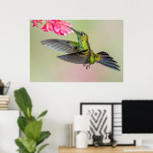 Mooie Hummingbird vliegt naar een ventilator Poster (Thuiskantoor)