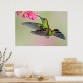 Mooie Hummingbird vliegt naar een ventilator Poster (Keuken)