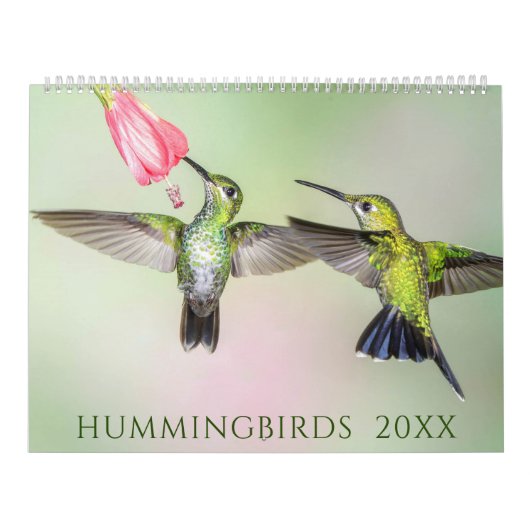 Mooie Hummingvogels Fotokalender Kalender (Hoes)