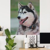 Mooie Husky Art Print sledehond (Thuiskantoor)