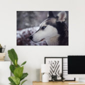 Mooie husky close-up print sledehond (Thuiskantoor)