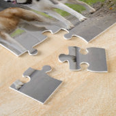 Mooie Husky-honden op een Natuur spoor Legpuzzel (Zijkant)