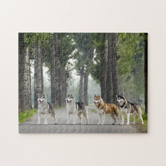 Mooie Husky-honden op een Natuur spoor Legpuzzel (Horizontaal)