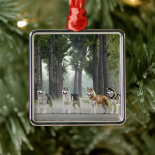 Mooie Husky-honden op een Natuur spoor Metalen Ornament