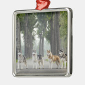 Mooie Husky-honden op een Natuur spoor Metalen Ornament (Links)