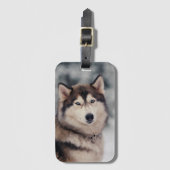 Mooie Husky in de buitenlucht Bagagelabel (Voorkant (verticaal))