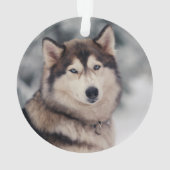 Mooie Husky in de buitenlucht Ornament (achterkant)