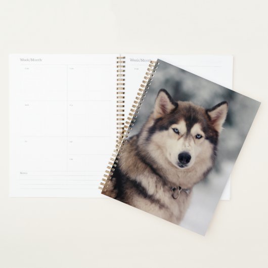 Mooie Husky in de buitenlucht Planner (Display)
