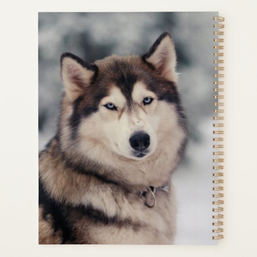 Mooie Husky in de buitenlucht Planner (Achterkant)