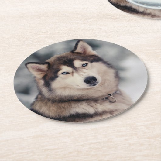 Mooie Husky in de buitenlucht Ronde Kartonnen Onderzetter (Gebogen)