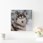 Mooie Husky in de buitenlucht Vierkante Klok (Huis)