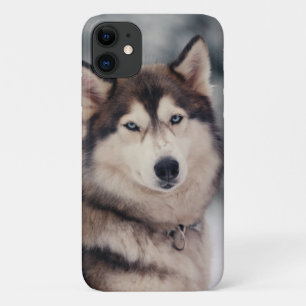 Mooie Husky in de Openlucht Case-Mate iPhone Case