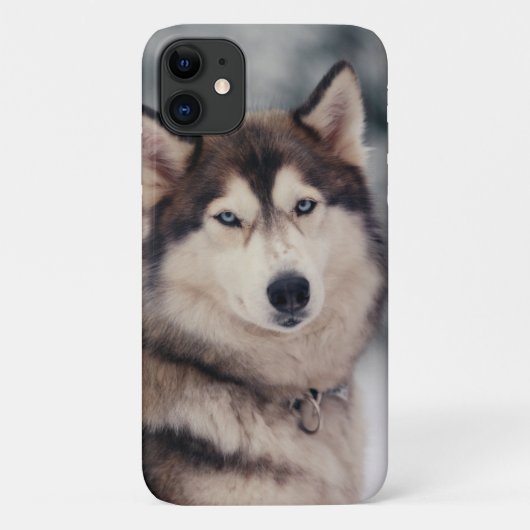Mooie Husky in de Openlucht Case-Mate iPhone Case (Achterkant)