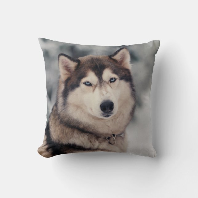 Mooie Husky in de Openlucht Kussen (Voorkant)