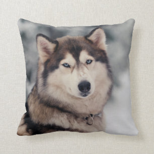 Mooie Husky in de Openlucht Kussen