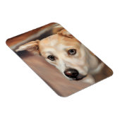 Mooie Husky meisje flexibele foto magneet (Rechterzijde)