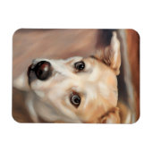 Mooie Husky meisje flexibele foto magneet (Horizontaal)