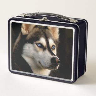 Mooie Husky Worp Kussen