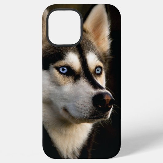 Mooie Husky Worp Kussen iPhone Hoesje (Achterkant)