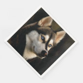 Mooie Husky Worp Kussen Servet (Hoek)