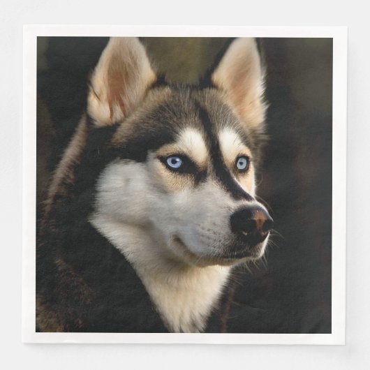 Mooie Husky Worp Kussen Servet (Voorkant)