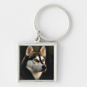 Mooie Husky Worp Kussen Sleutelhanger