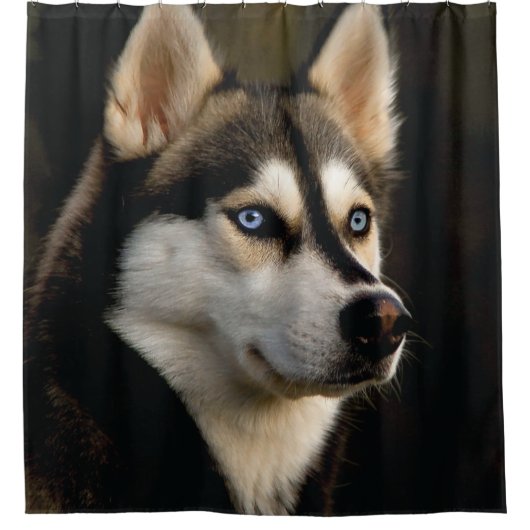 Mooie Husky Worpkussen Douchegordijn (Voorkant)